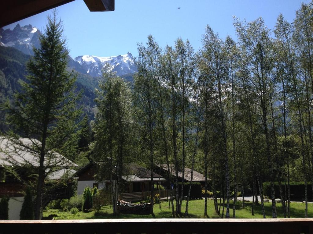 Chalet Champraz - Free Parking Chamonix Eksteriør bilde